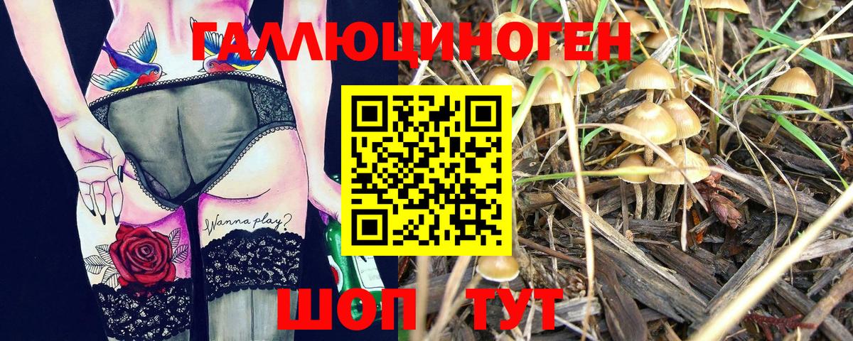 Галлюциногенные грибы мицелий  Галлюциногенные грибы прущие грибы  Вход с VPN  Азов 